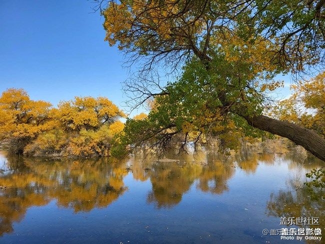 《每周星鮮事》 第85期