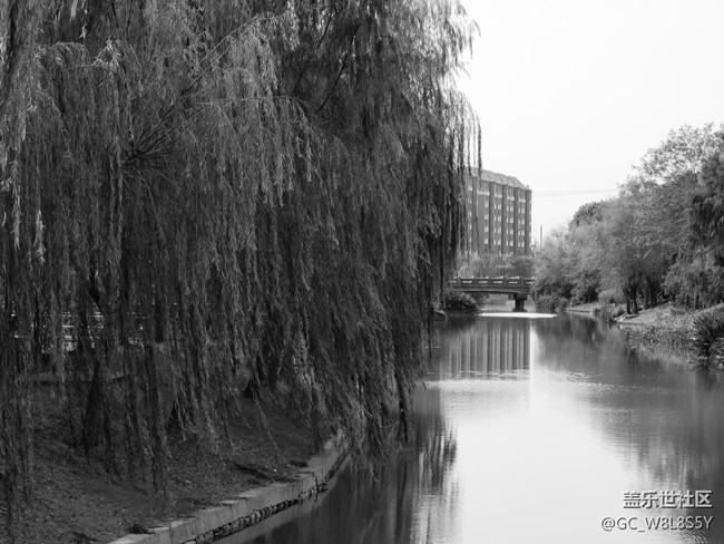 【簡(jiǎn)單的黑白灰】+小區(qū)公園