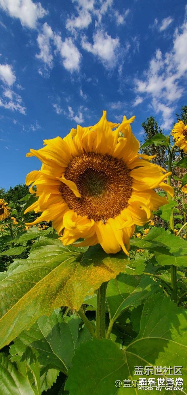 《每周星鮮事》 第85期:三星會員周 開門紅搶先購