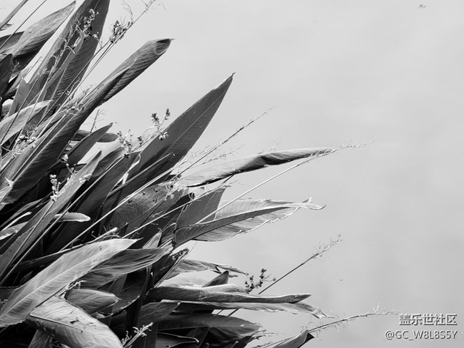 【簡(jiǎn)單的黑白灰】+小區(qū)公園