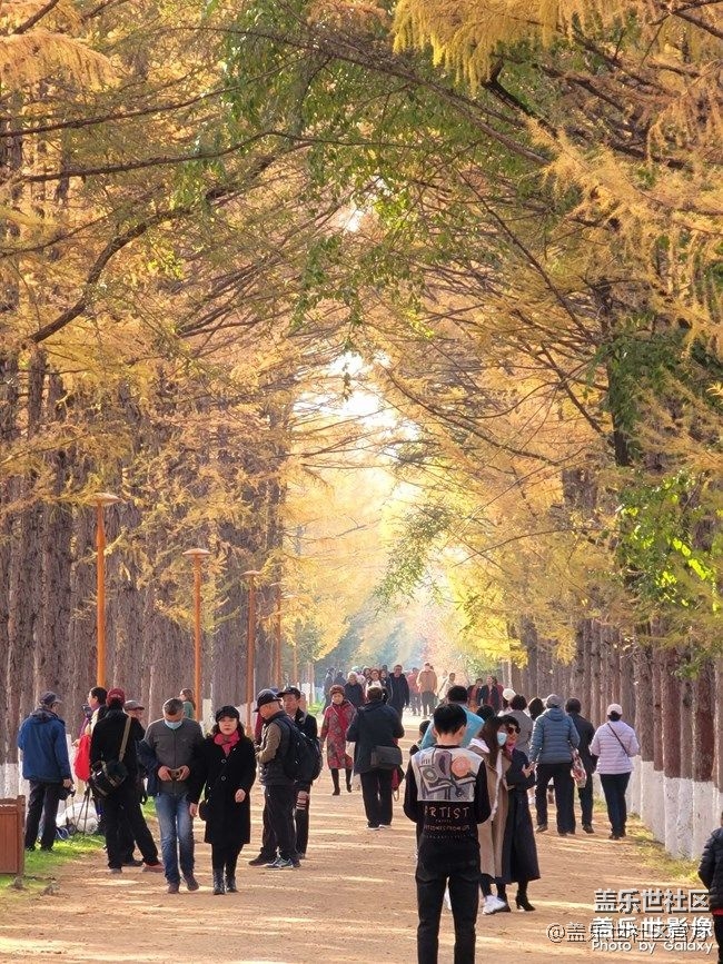 《每周星鮮事》 第85期:三星會員周 開門紅搶先購