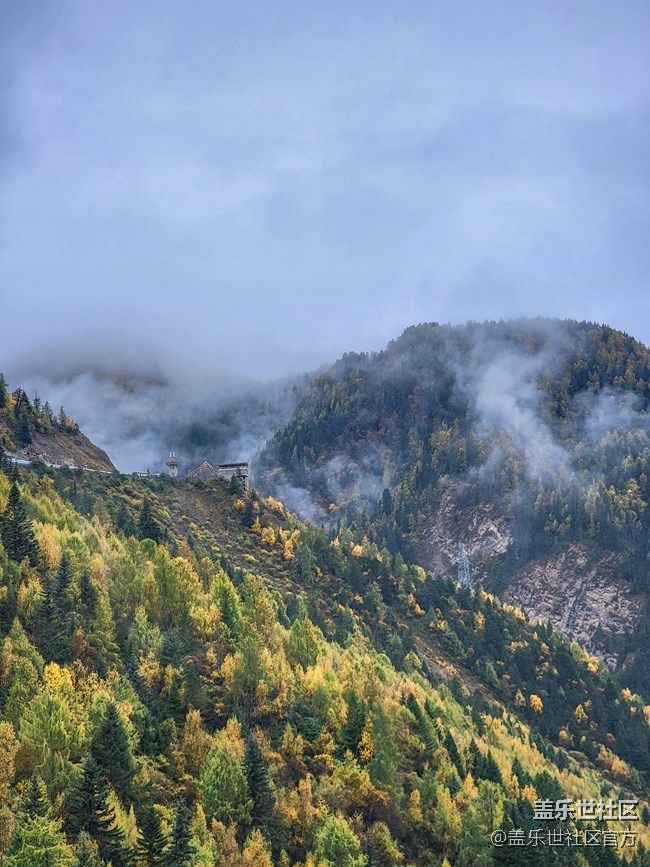 《每周星鮮事》 第85期