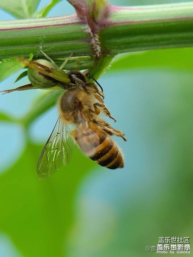 《每周星鮮事》 第85期