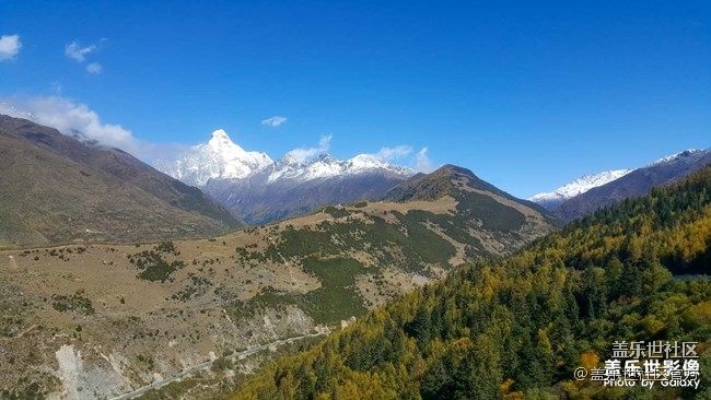 《每周星鮮事》 第85期