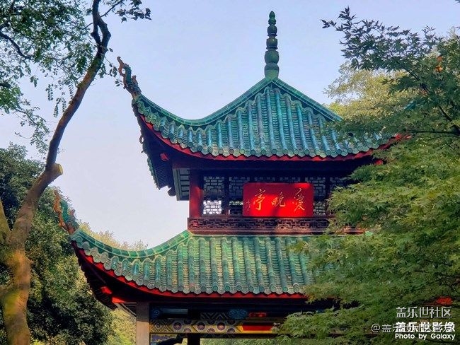 《每周星鮮事》 第85期:三星會員周 開門紅搶先購