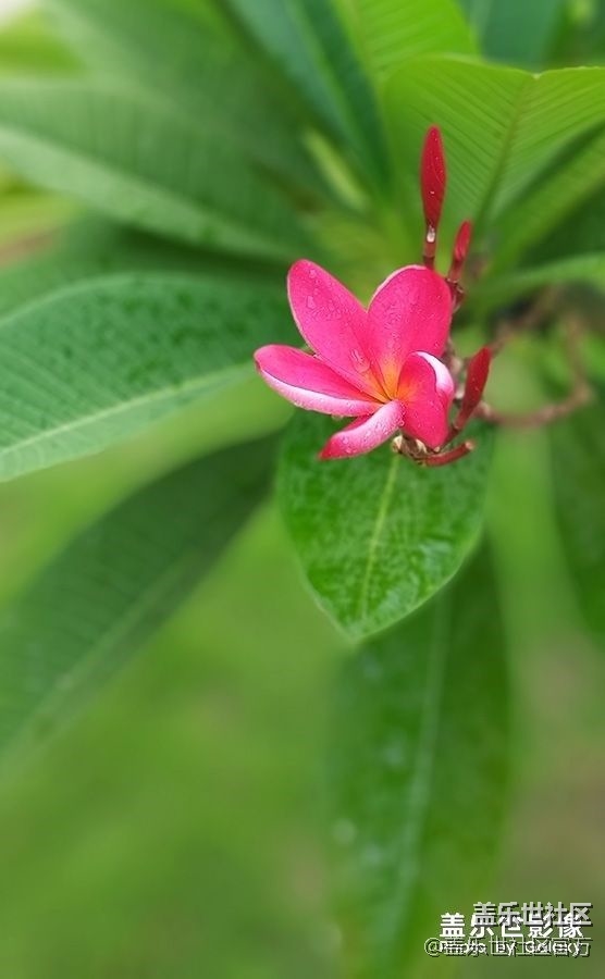 《每周星鮮事》 第85期:三星會員周 開門紅搶先購