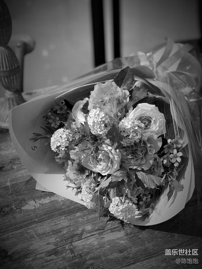 【簡單的黑白灰】＋褪去了顏色依舊美麗