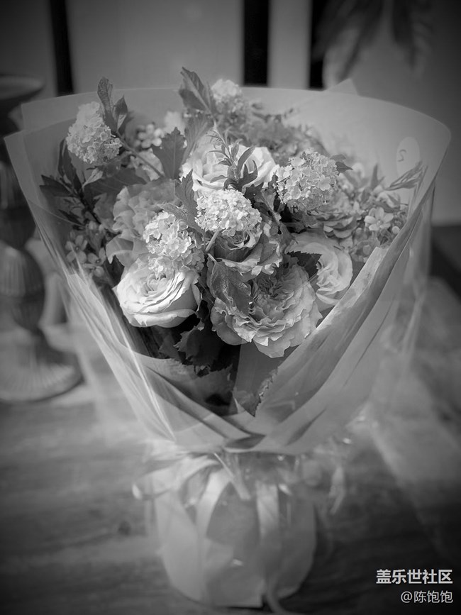 【簡單的黑白灰】＋褪去了顏色依舊美麗