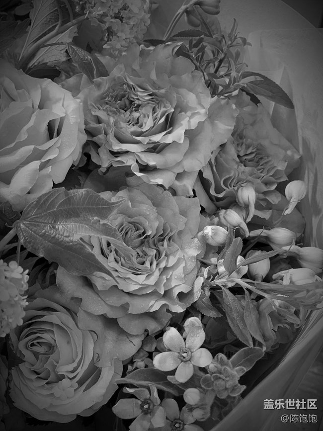 【簡單的黑白灰】＋褪去了顏色依舊美麗