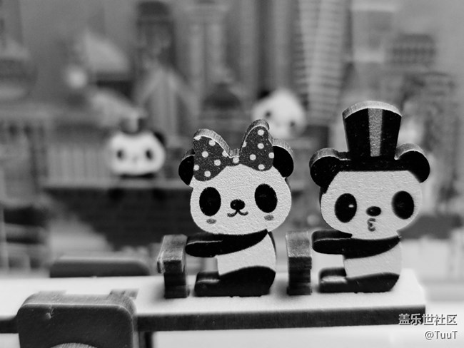 【簡(jiǎn)單的黑白灰】+靜物