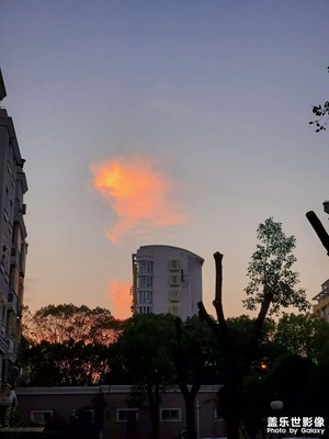 【身邊的美好】+步行通勤隨拍