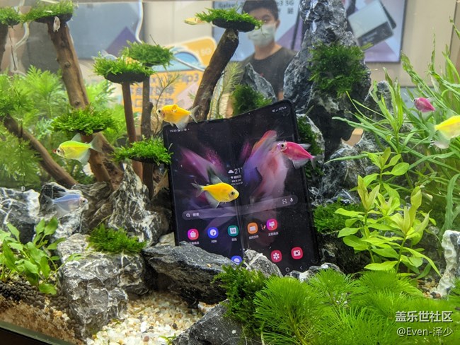 Galaxy Z Fold3| Flip3 5G品鑒會