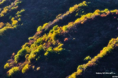 Galaxy S21 Ultra 5G 山嶺上的秋天