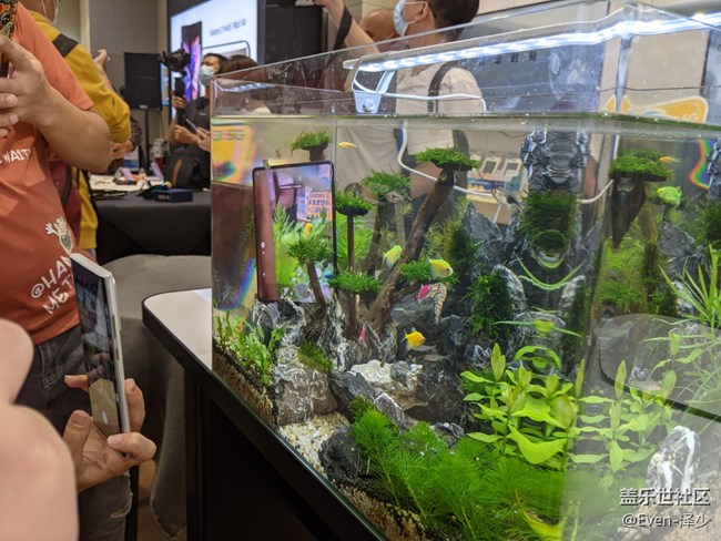 Galaxy Z Fold3| Flip3 5G品鑒會