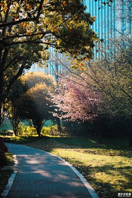 【身邊的美好】+S21U掘美之路