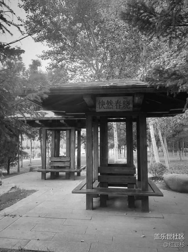 【簡單的黑白灰】＋你儂我儂情意濃