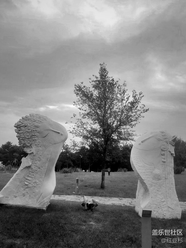 【簡單的黑白灰】＋你儂我儂情意濃