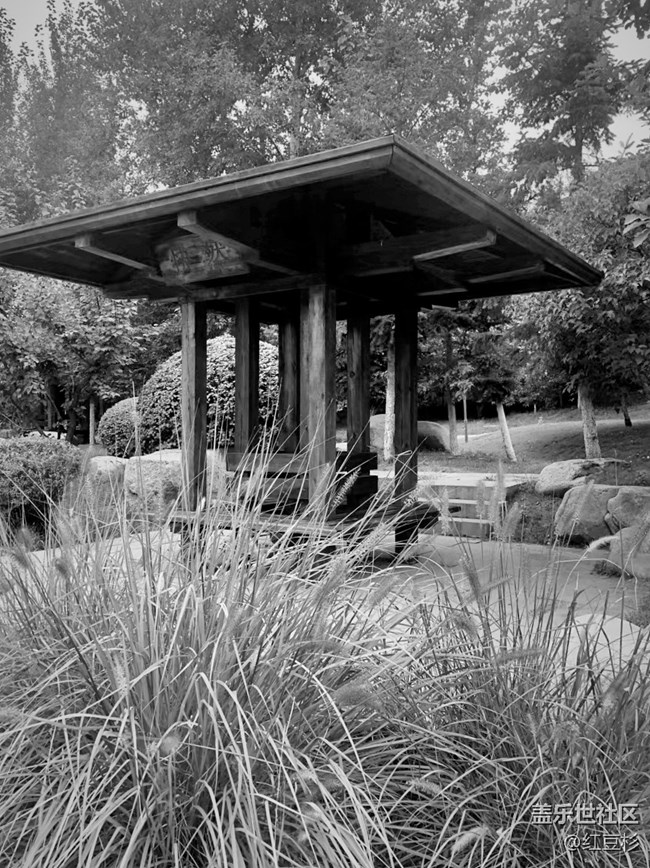 【簡單的黑白灰】＋你儂我儂情意濃