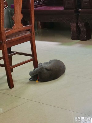 抱頭痛哭