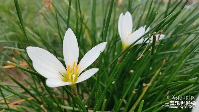 《每周星鮮事》 第86期