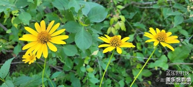 《每周星鮮事》 第86期