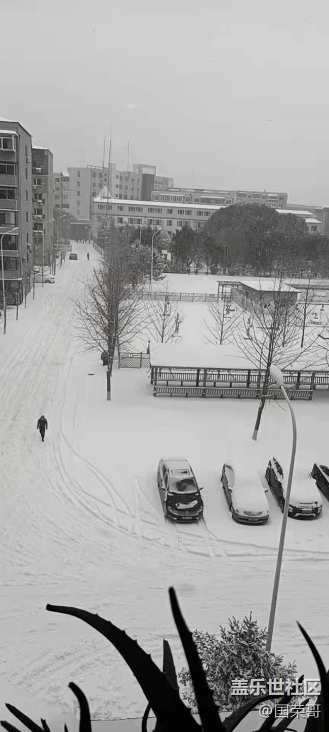 【簡單的黑白灰】＋銀裝素裹的世界