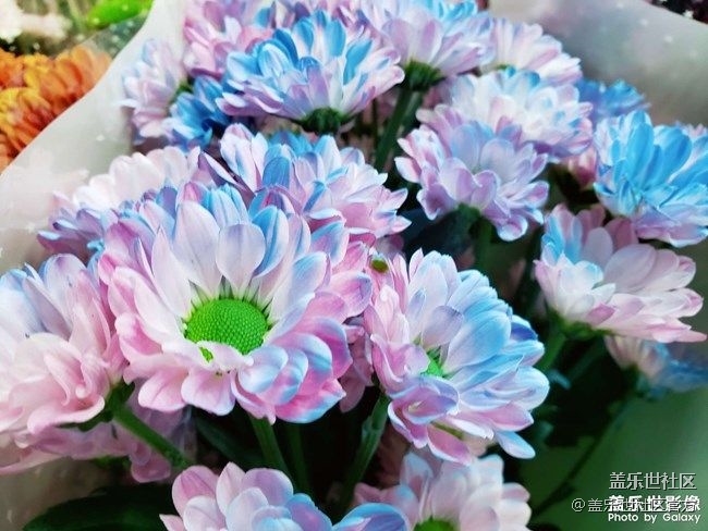 《每周星鮮事》 第86期