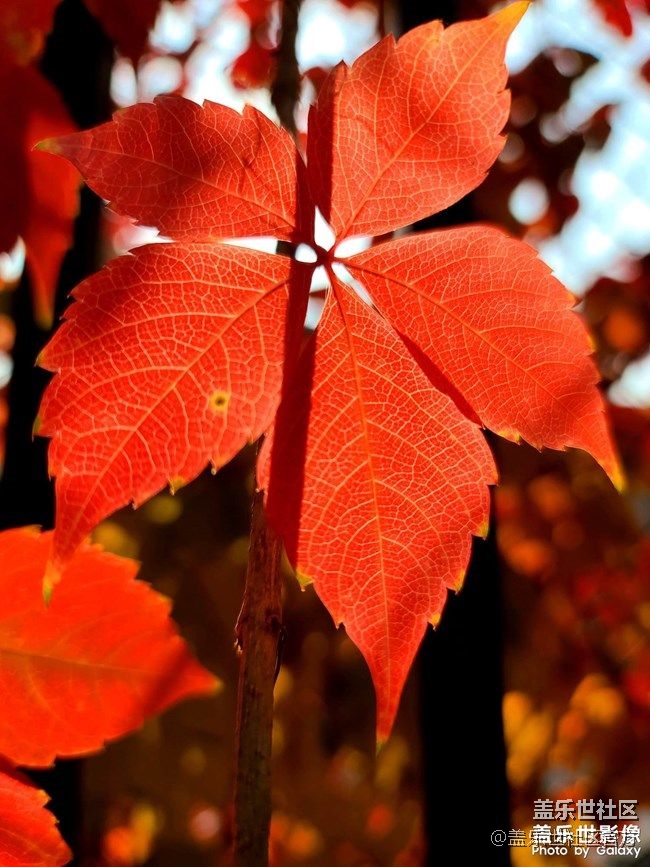 《每周星鮮事》 第86期