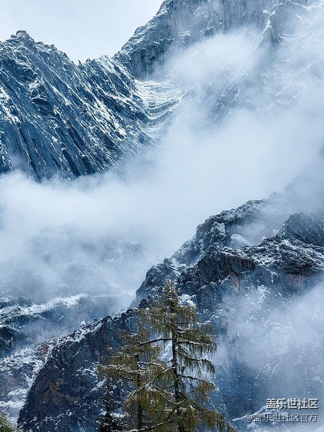 《每周星鮮事》 第86期