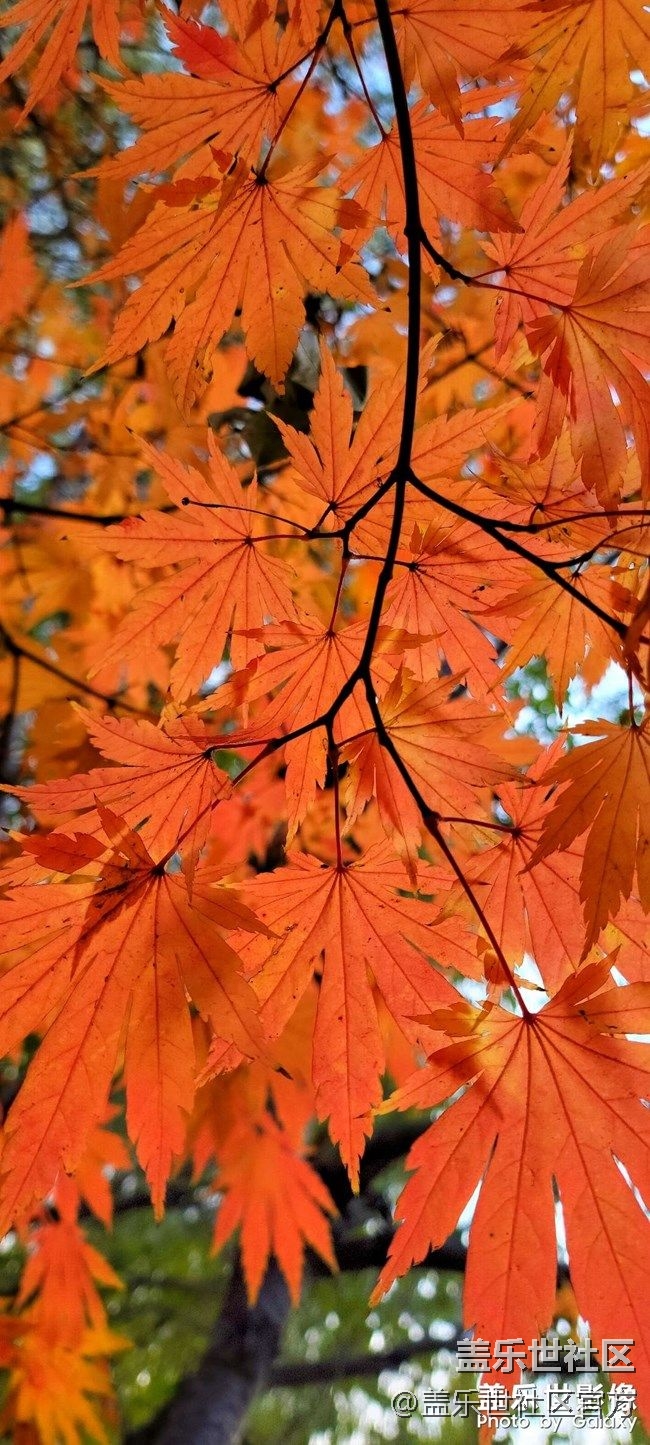 《每周星鮮事》 第86期