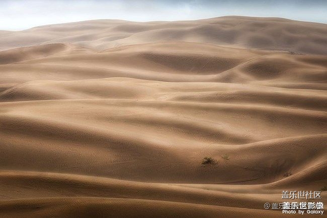 《每周星鮮事》 第86期