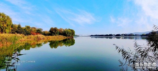 《每周星鮮事》 第86期