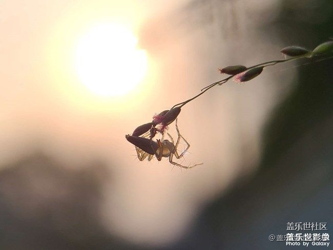 《每周星鮮事》 第86期