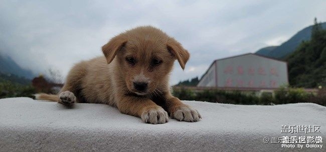 《每周星鮮事》 第86期