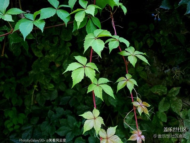 《每周星鮮事》 第86期