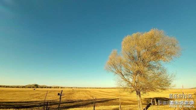 《每周星鮮事》 第86期