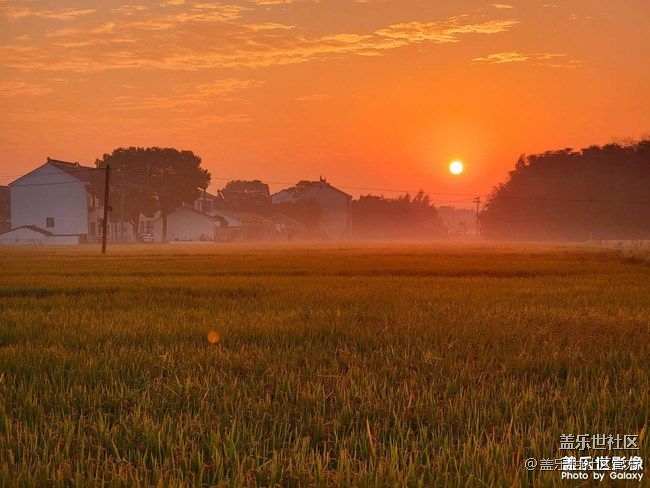 《每周星鮮事》 第86期