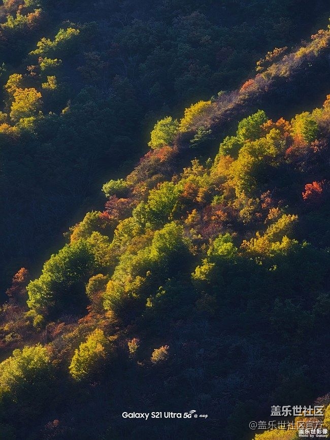 《每周星鮮事》 第86期