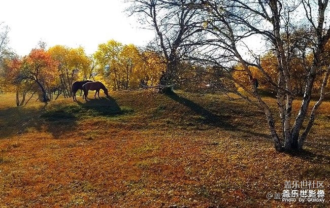 《每周星鮮事》 第86期