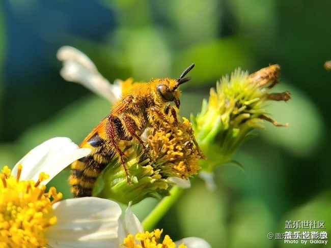 《每周星鮮事》 第86期