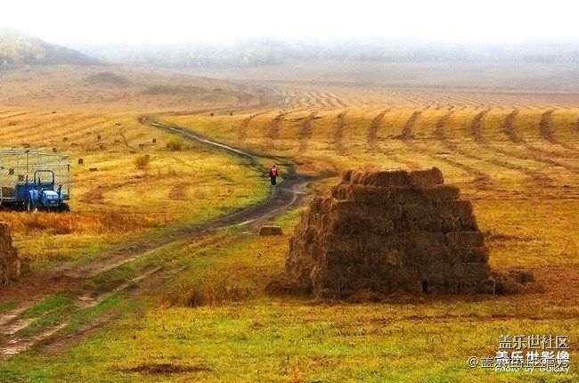 《每周星鮮事》 第86期