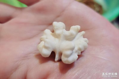 核桃美味又營養(yǎng)