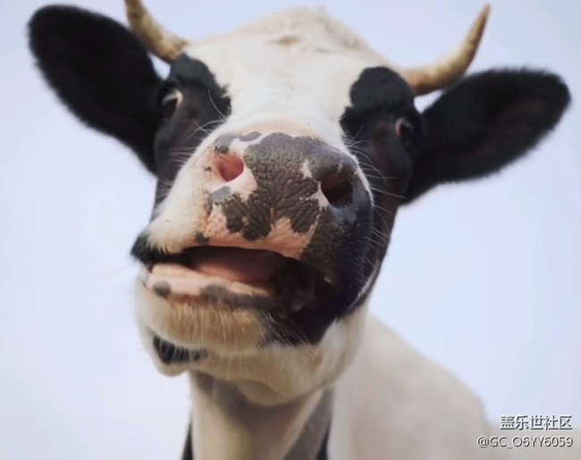 【萌新第一曬】