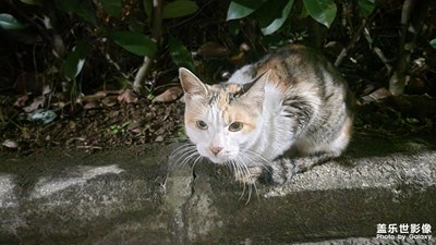 【立冬】+冷  夜，夜 冷