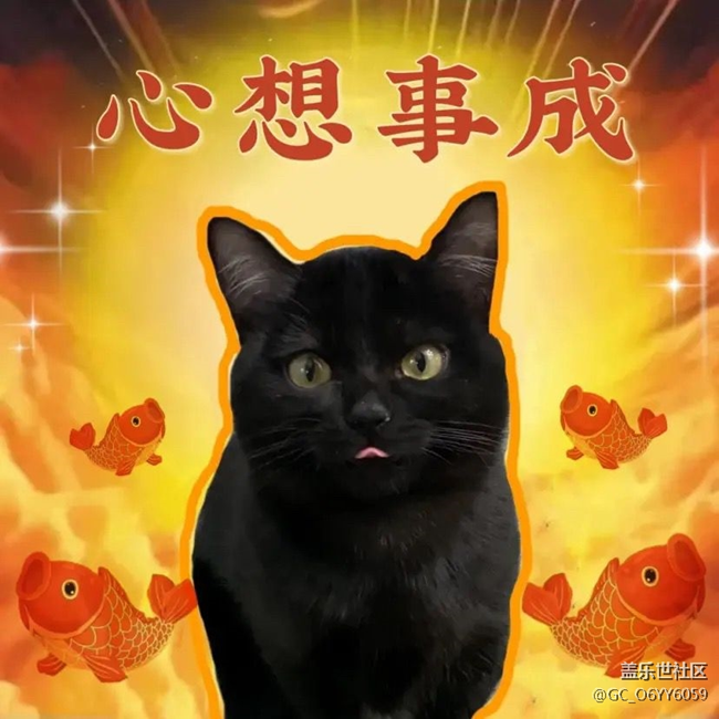 【萌新第一曬】