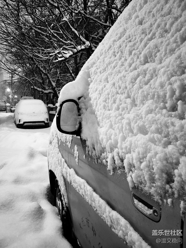 【簡單的黑白灰】一場雪