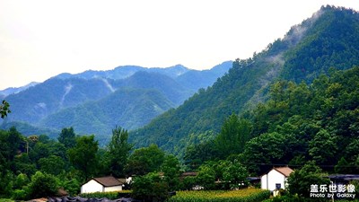 閑醉九龍山
