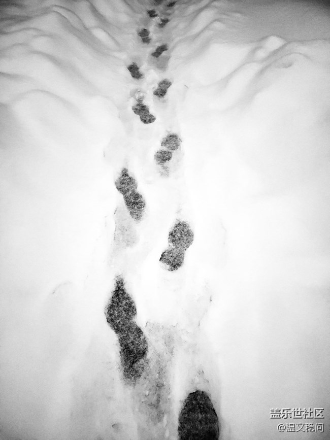 【簡單的黑白灰】一場雪