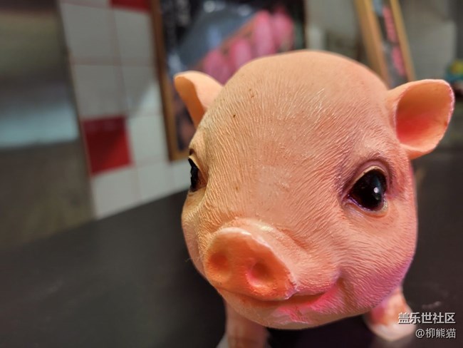 【寵物】沒(méi)啥寵物，弄個(gè)豬豬吧