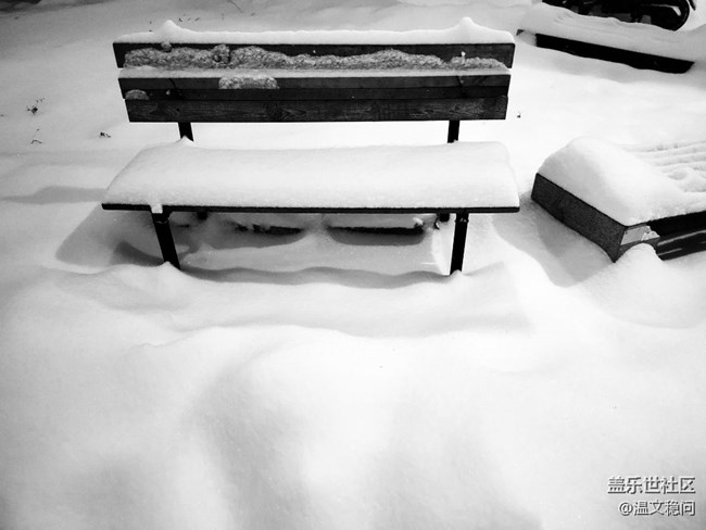 【简单的黑白灰】一场雪
